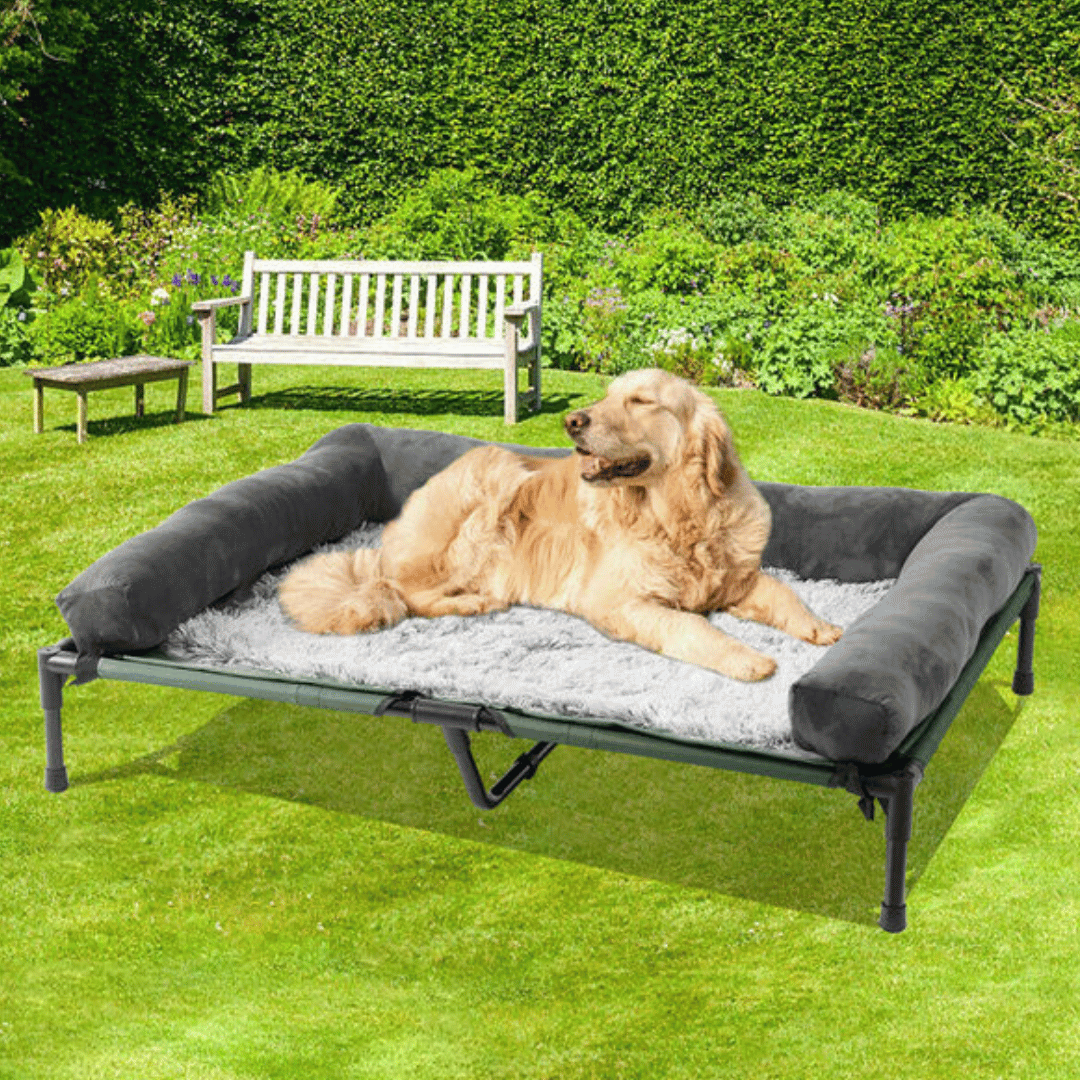 XL Raised Dog Bolster Bed for Large Dogs
