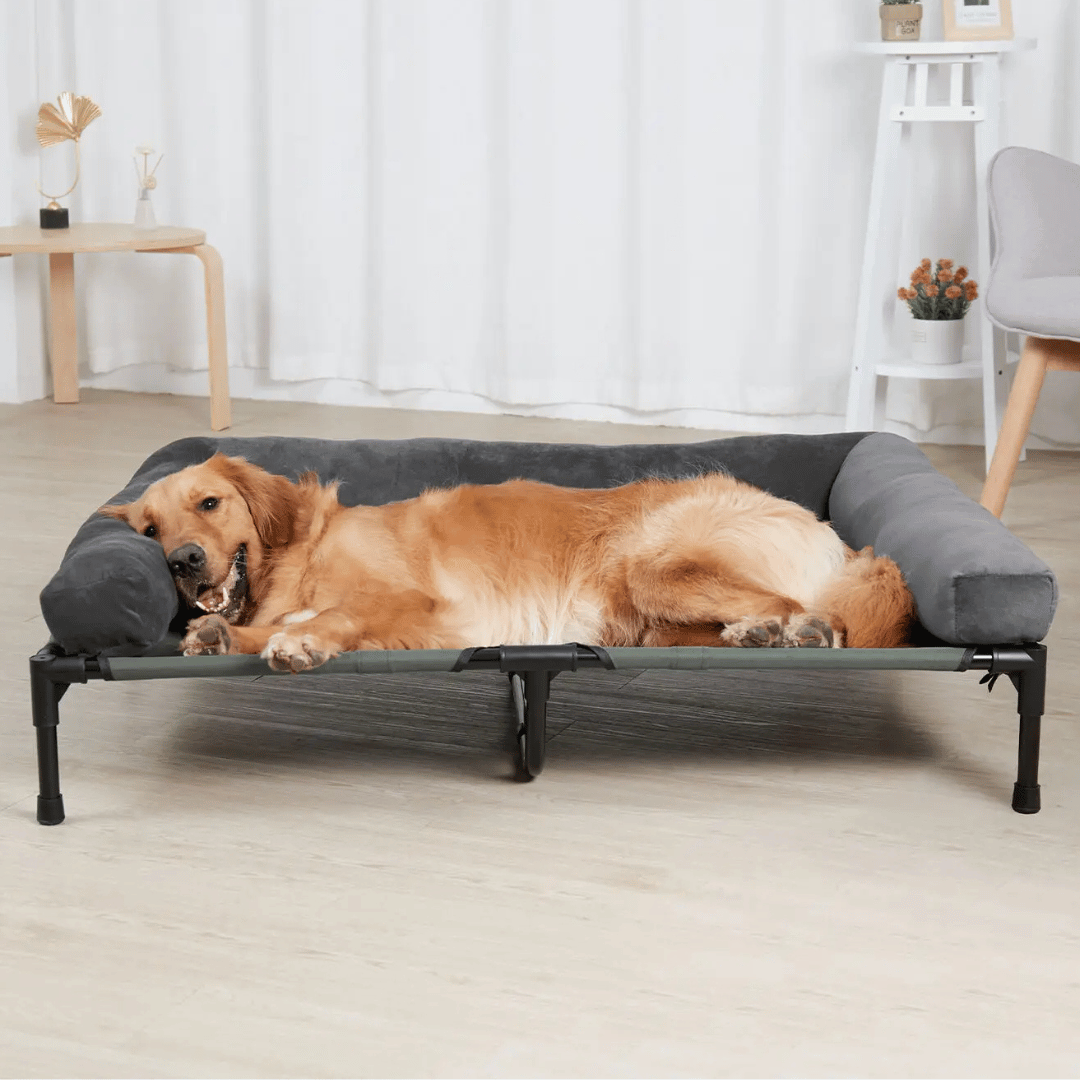 XL Raised Dog Bolster Bed for Large Dogs