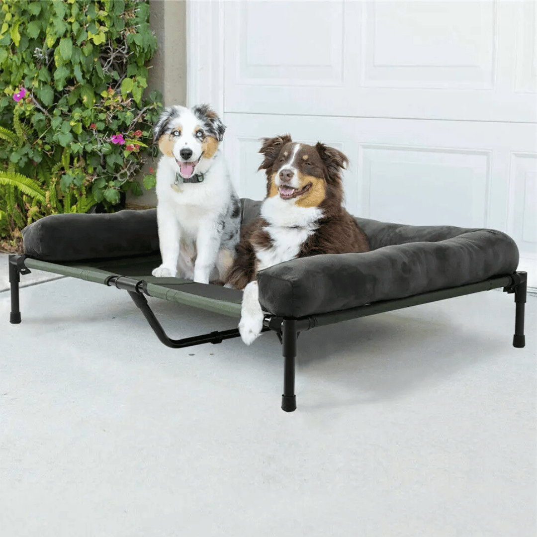 XL Raised Dog Bolster Bed for Large Dogs