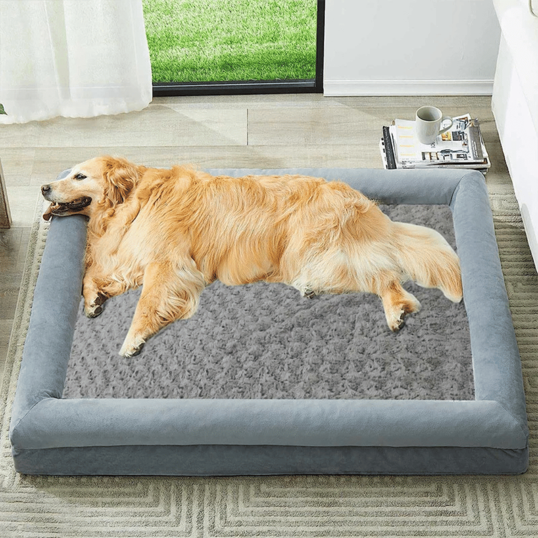 XL Supportive Orthopedic Dog Bed for Large Dogs