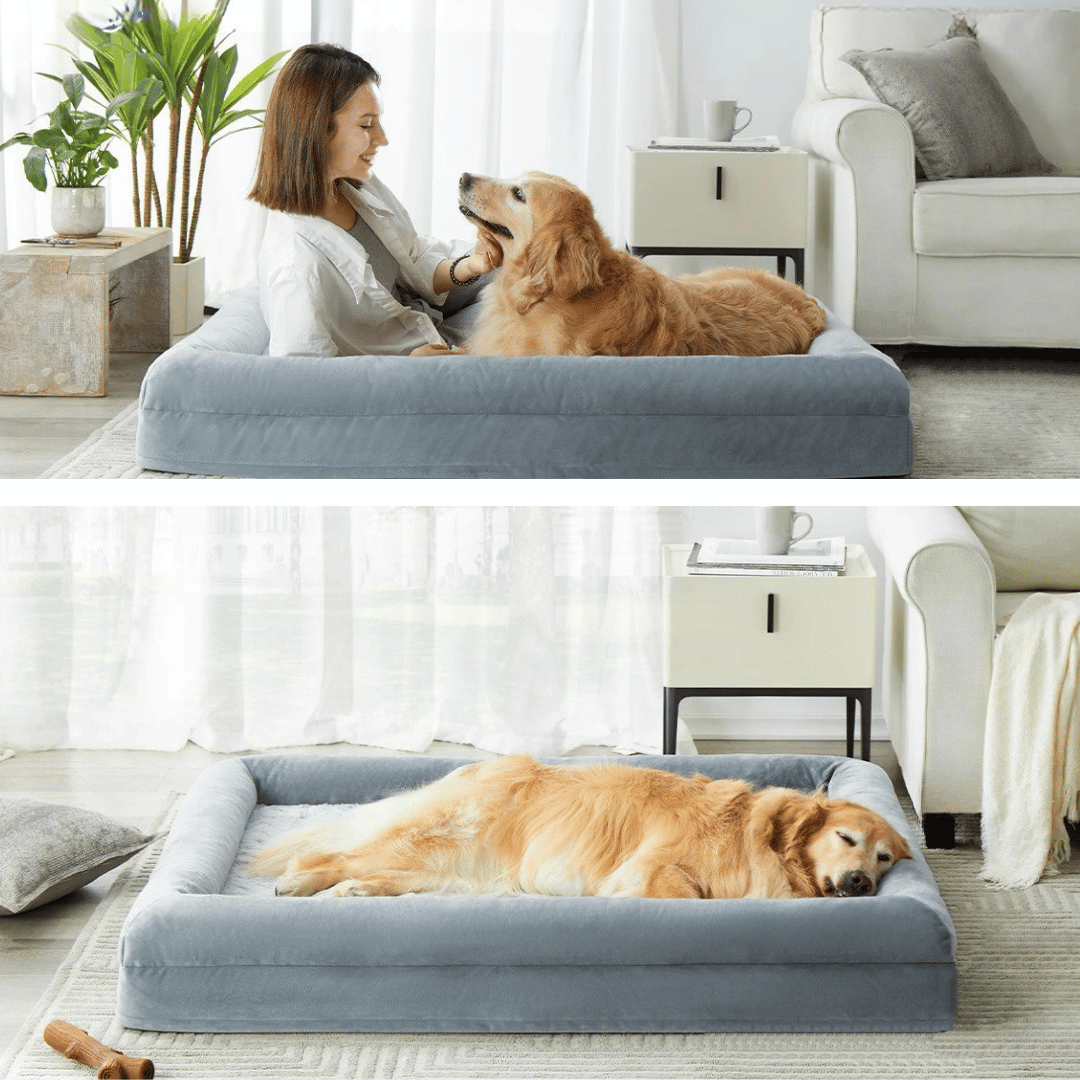 XL Supportive Orthopedic Dog Bed for Large Dogs