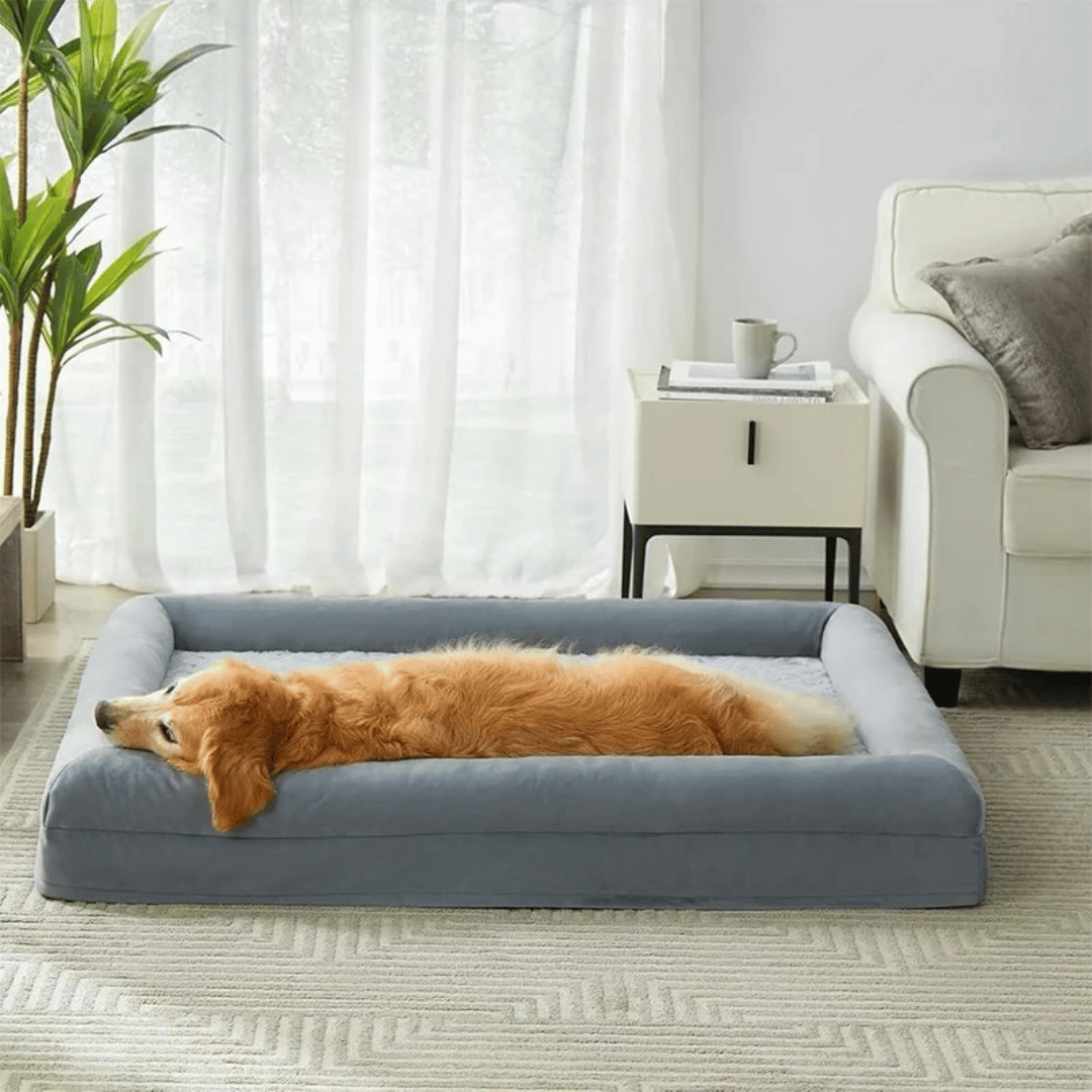 XL Supportive Orthopedic Dog Bed for Large Dogs