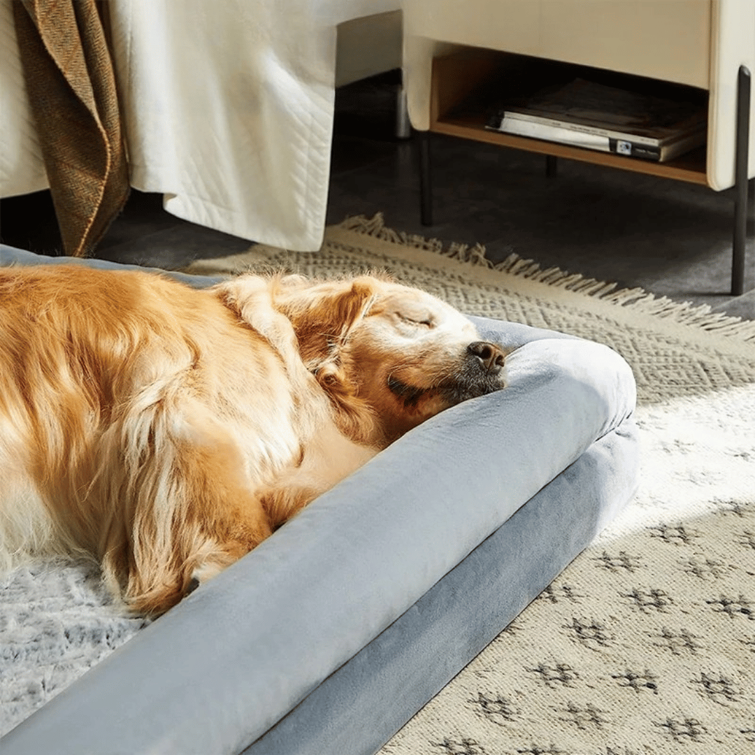 XL Supportive Orthopedic Dog Bed for Large Dogs