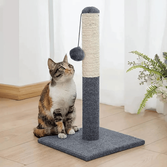 Playful Cat Scratching Post with Hanging Ball
