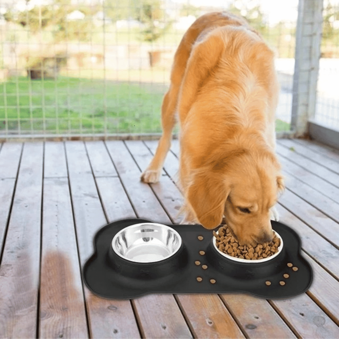 Stainless Steel Dog Bowls & Silicone Mat